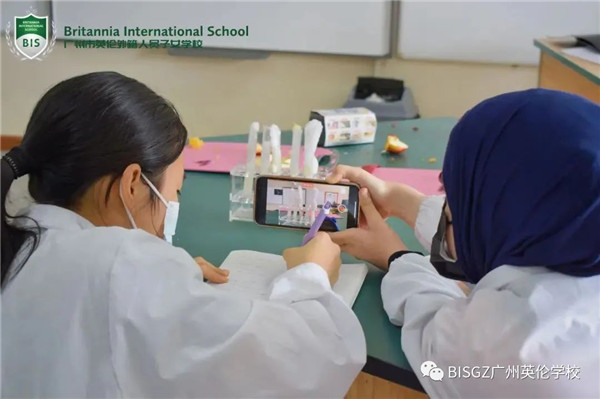 https://www.bisguangzhou.com/news/discover-your-potential-shape-your-future/